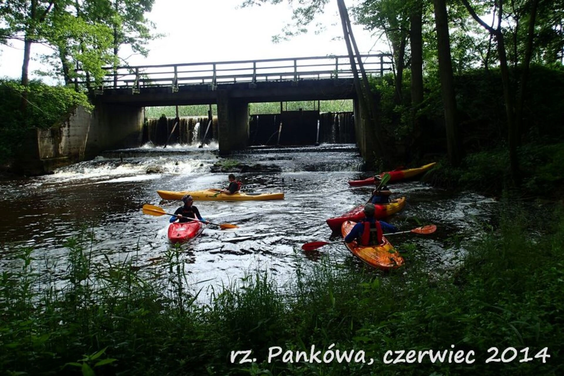 Kajaki Pankówka